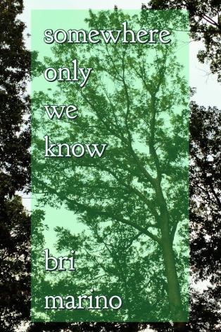 Processed with MOLDIV