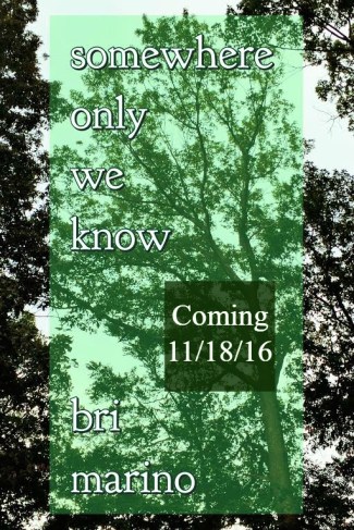 Processed with MOLDIV