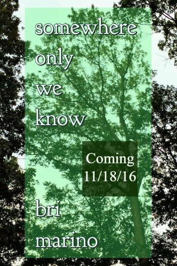 Processed with MOLDIV